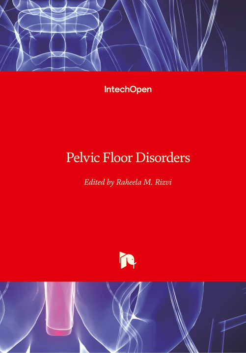 Kniha Pelvic Floor Disorders Raheela Rizvi