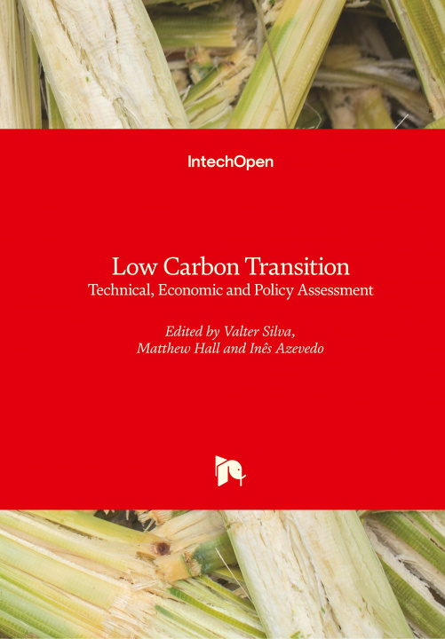 Libro Low Carbon Transition Valter Silva