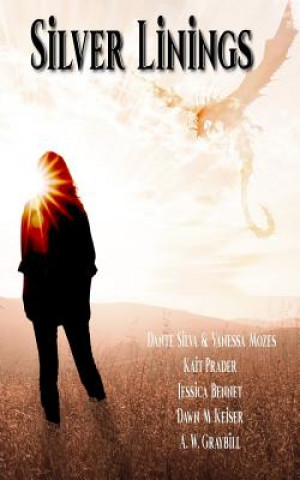 Knjiga Silver Linings Vanessa Mozes