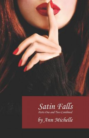 Książka Satin Falls: The Complete Story Ann Michelle