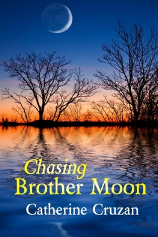 Book Chasing Brother Moon Catherine Cruzan
