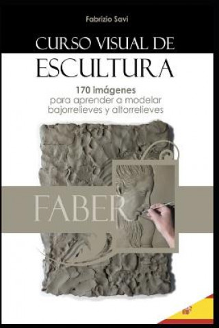 Книга Curso Visual de Escultura: 170 Imágenes Para Aprender a Modelar Bajorrelieves Y Altorrelieves. Fabrizio Savi