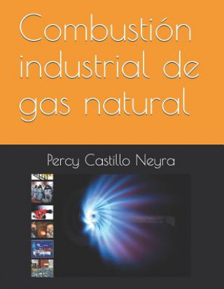 Βιβλίο Combustión Industrial de Gas Natural Percy Castillo Neyra