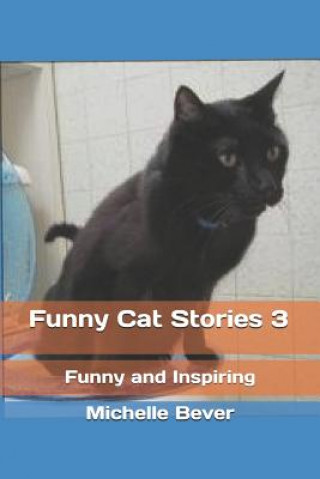 Book Funny Cat Stories 3 Michelle Bever