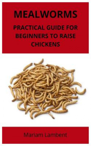 Kniha Mealworms: Practical guide for beginners to raise chickens Mariam Lambent