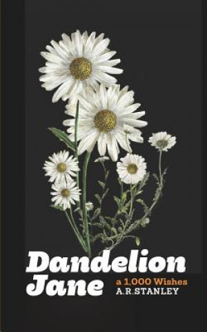 Könyv Dandelion Jane: A 1,000 Wishes A. R. Stanley