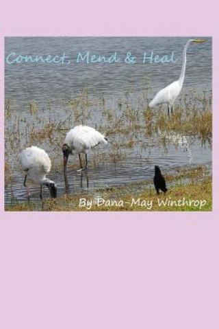 Book Connect, Mend & Heal Dana-May Winthrop