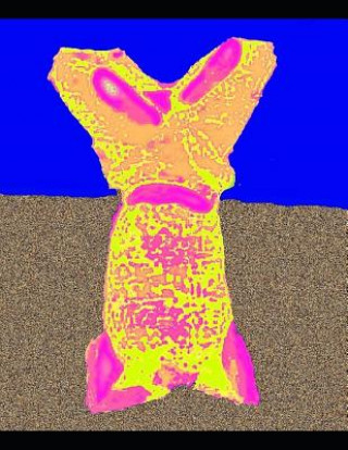 Knjiga Heroes: Digital Image Processing Tom Zatar Kay