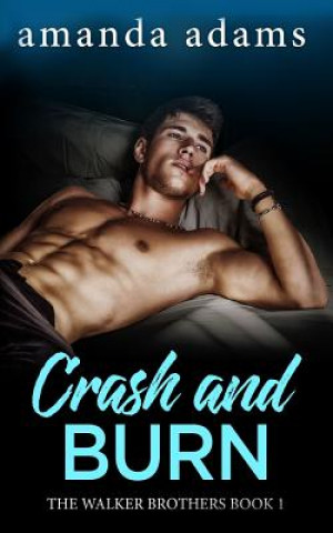 Buch Crash and Burn Amanda Adams