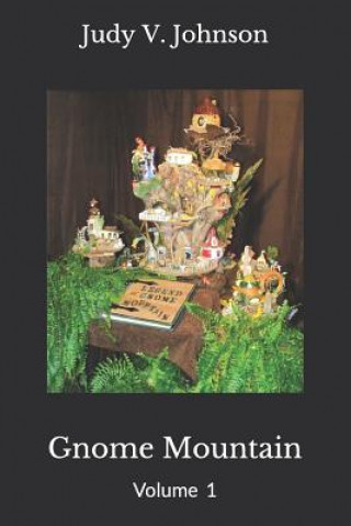 Knjiga Gnome Mountain Judy V. Johnson