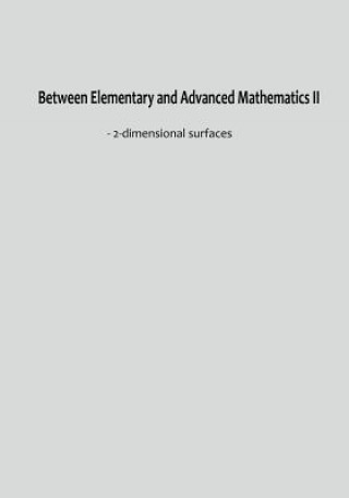 Knjiga Between Elementary and Advanced Mathematics II: - 2-Dimensional Surfaces Z. L. Lin