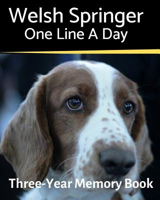 Könyv Welsh Springer - One Line a Day Brightview Journals
