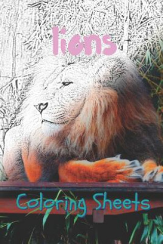 Kniha Lion Coloring Sheets: 30 Lion Drawings, Coloring Sheets Adults Relaxation, Coloring Book for Kids, for Girls, Volume 9 Coloring Books