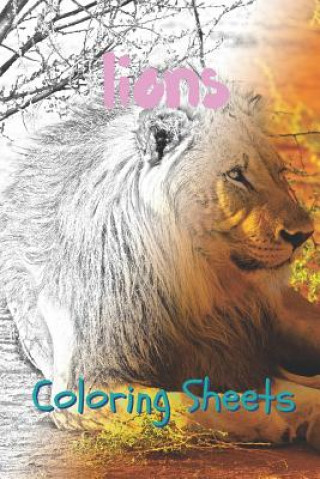 Kniha Lion Coloring Sheets: 30 Lion Drawings, Coloring Sheets Adults Relaxation, Coloring Book for Kids, for Girls, Volume 12 Coloring Books