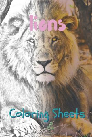 Kniha Lion Coloring Sheets: 30 Lion Drawings, Coloring Sheets Adults Relaxation, Coloring Book for Kids, for Girls, Volume 15 Coloring Books