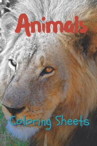 Kniha Animals Coloring Sheets: 30 Animals Drawings, Coloring Sheets Adults Relaxation, Coloring Book for Kids, for Girls, Volume 1 Julian Smith