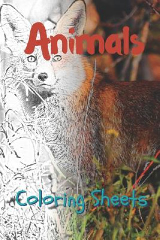 Kniha Animals Coloring Sheets: 30 Animals Drawings, Coloring Sheets Adults Relaxation, Coloring Book for Kids, for Girls, Volume 7 Julian Smith