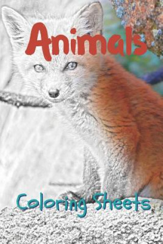 Kniha Animals Coloring Sheets: 30 Animals Drawings, Coloring Sheets Adults Relaxation, Coloring Book for Kids, for Girls, Volume 10 Julian Smith