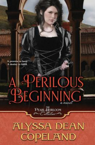 Kniha A Perilous Beginning Alyssa Dean Copeland