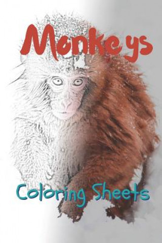 Kniha Monkey Coloring Sheets: 30 Monkey Drawings, Coloring Sheets Adults Relaxation, Coloring Book for Kids, for Girls, Volume 10 Julian Smith