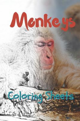 Könyv Monkey Coloring Sheets: 30 Monkey Drawings, Coloring Sheets Adults Relaxation, Coloring Book for Kids, for Girls, Volume 1 Julian Smith