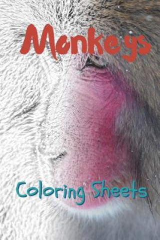 Kniha Monkey Coloring Sheets: 30 Monkey Drawings, Coloring Sheets Adults Relaxation, Coloring Book for Kids, for Girls, Volume 3 Julian Smith