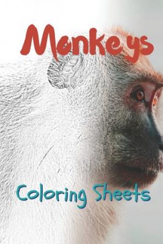 Carte Monkey Coloring Sheets: 30 Monkey Drawings, Coloring Sheets Adults Relaxation, Coloring Book for Kids, for Girls, Volume 4 Julian Smith