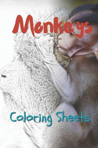 Kniha Monkey Coloring Sheets: 30 Monkey Drawings, Coloring Sheets Adults Relaxation, Coloring Book for Kids, for Girls, Volume 5 Julian Smith
