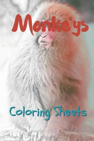 Kniha Monkey Coloring Sheets: 30 Monkey Drawings, Coloring Sheets Adults Relaxation, Coloring Book for Kids, for Girls, Volume 7 Julian Smith