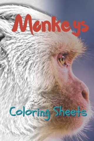 Kniha Monkey Coloring Sheets: 30 Monkey Drawings, Coloring Sheets Adults Relaxation, Coloring Book for Kids, for Girls, Volume 12 Julian Smith
