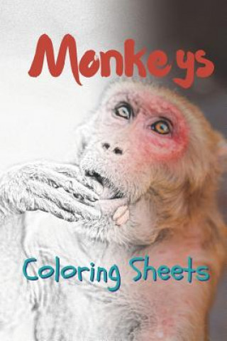 Könyv Monkey Coloring Sheets: 30 Monkey Drawings, Coloring Sheets Adults Relaxation, Coloring Book for Kids, for Girls, Volume 13 Julian Smith