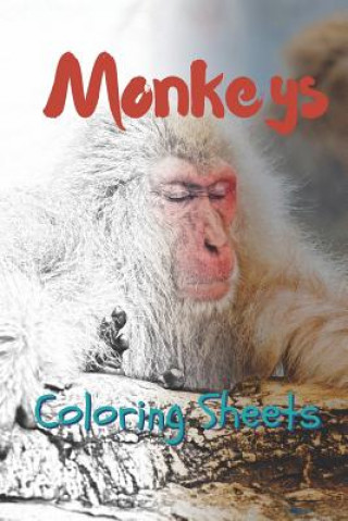 Carte Monkey Coloring Sheets: 30 Monkey Drawings, Coloring Sheets Adults Relaxation, Coloring Book for Kids, for Girls, Volume 14 Julian Smith