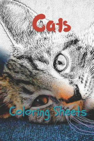 Kniha Cat Coloring Sheets: 30 Cat Drawings, Coloring Sheets Adults Relaxation, Coloring Book for Kids, for Girls, Volume 3 Julian Smith
