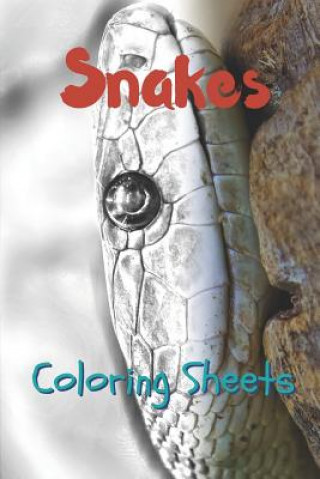 Carte Snake Coloring Sheets: 30 Snake Drawings, Coloring Sheets Adults Relaxation, Coloring Book for Kids, for Girls, Volume 2 Julian Smith