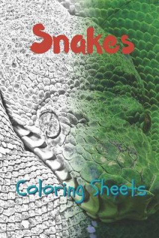 Kniha Snake Coloring Sheets: 30 Snake Drawings, Coloring Sheets Adults Relaxation, Coloring Book for Kids, for Girls, Volume 4 Julian Smith