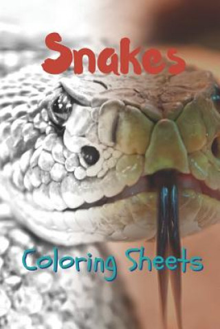 Kniha Snake Coloring Sheets: 30 Snake Drawings, Coloring Sheets Adults Relaxation, Coloring Book for Kids, for Girls, Volume 5 Julian Smith