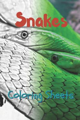 Kniha Snake Coloring Sheets: 30 Snake Drawings, Coloring Sheets Adults Relaxation, Coloring Book for Kids, for Girls, Volume 6 Julian Smith