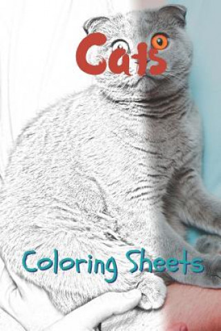 Könyv Snake Coloring Sheets: 30 Snake Drawings, Coloring Sheets Adults Relaxation, Coloring Book for Kids, for Girls, Volume 10 Julian Smith