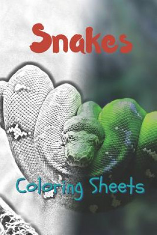 Kniha Snake Coloring Sheets: 30 Snake Drawings, Coloring Sheets Adults Relaxation, Coloring Book for Kids, for Girls, Volume 11 Julian Smith