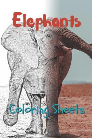 Carte Elephant Coloring Sheets: 30 Elephant Drawings, Coloring Sheets Adults Relaxation, Coloring Book for Kids, for Girls, Volume 1 Julian Smith