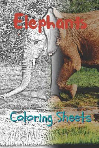Carte Elephant Coloring Sheets: 30 Elephant Drawings, Coloring Sheets Adults Relaxation, Coloring Book for Kids, for Girls, Volume 2 Julian Smith