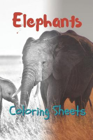 Carte Elephant Coloring Sheets: 30 Elephant Drawings, Coloring Sheets Adults Relaxation, Coloring Book for Kids, for Girls, Volume 3 Julian Smith