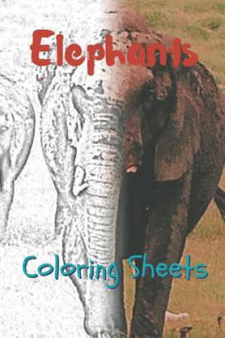 Carte Elephant Coloring Sheets: 30 Elephant Drawings, Coloring Sheets Adults Relaxation, Coloring Book for Kids, for Girls, Volume 4 Julian Smith