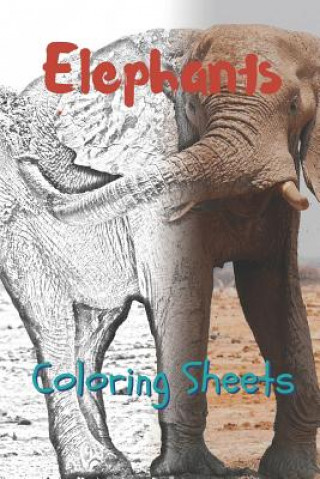 Carte Elephant Coloring Sheets: 30 Elephant Drawings, Coloring Sheets Adults Relaxation, Coloring Book for Kids, for Girls, Volume 6 Julian Smith