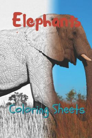 Könyv Elephant Coloring Sheets: 30 Elephant Drawings, Coloring Sheets Adults Relaxation, Coloring Book for Kids, for Girls, Volume 7 Julian Smith