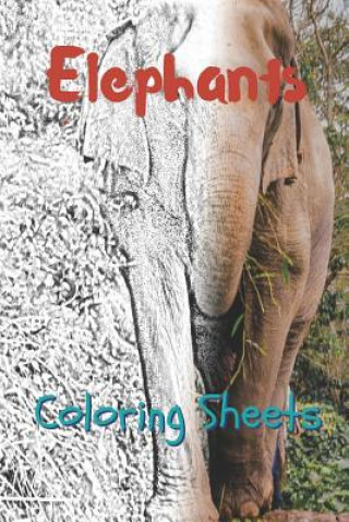 Carte Elephant Coloring Sheets: 30 Elephant Drawings, Coloring Sheets Adults Relaxation, Coloring Book for Kids, for Girls, Volume 10 Julian Smith