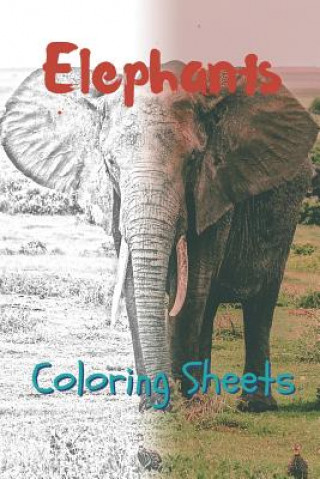 Könyv Elephant Coloring Sheets: 30 Elephant Drawings, Coloring Sheets Adults Relaxation, Coloring Book for Kids, for Girls, Volume 12 Julian Smith