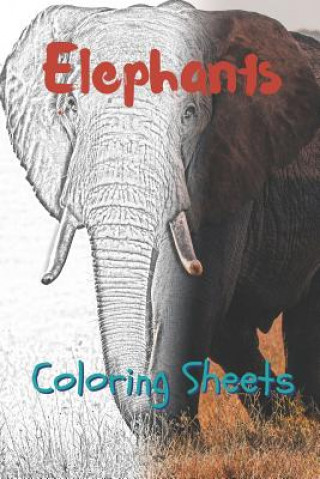 Carte Elephant Coloring Sheets: 30 Elephant Drawings, Coloring Sheets Adults Relaxation, Coloring Book for Kids, for Girls, Volume 13 Julian Smith