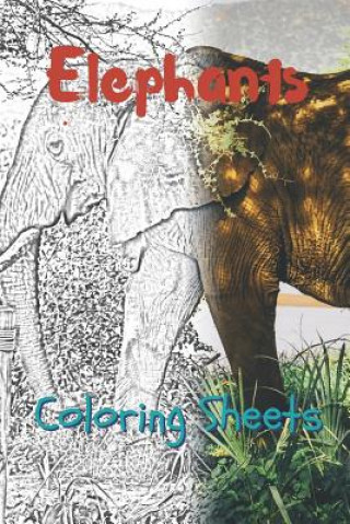 Könyv Elephant Coloring Sheets: 30 Elephant Drawings, Coloring Sheets Adults Relaxation, Coloring Book for Kids, for Girls, Volume 14 Julian Smith