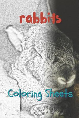 Carte Rabbit Coloring Sheets: 30 Rabbit Drawings, Coloring Sheets Adults Relaxation, Coloring Book for Kids, for Girls, Volume 1 Julian Smith